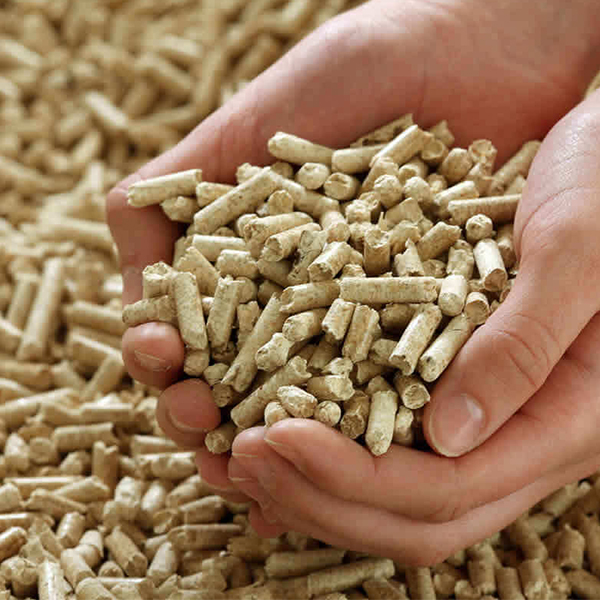 Biomassza, biogáz üzem